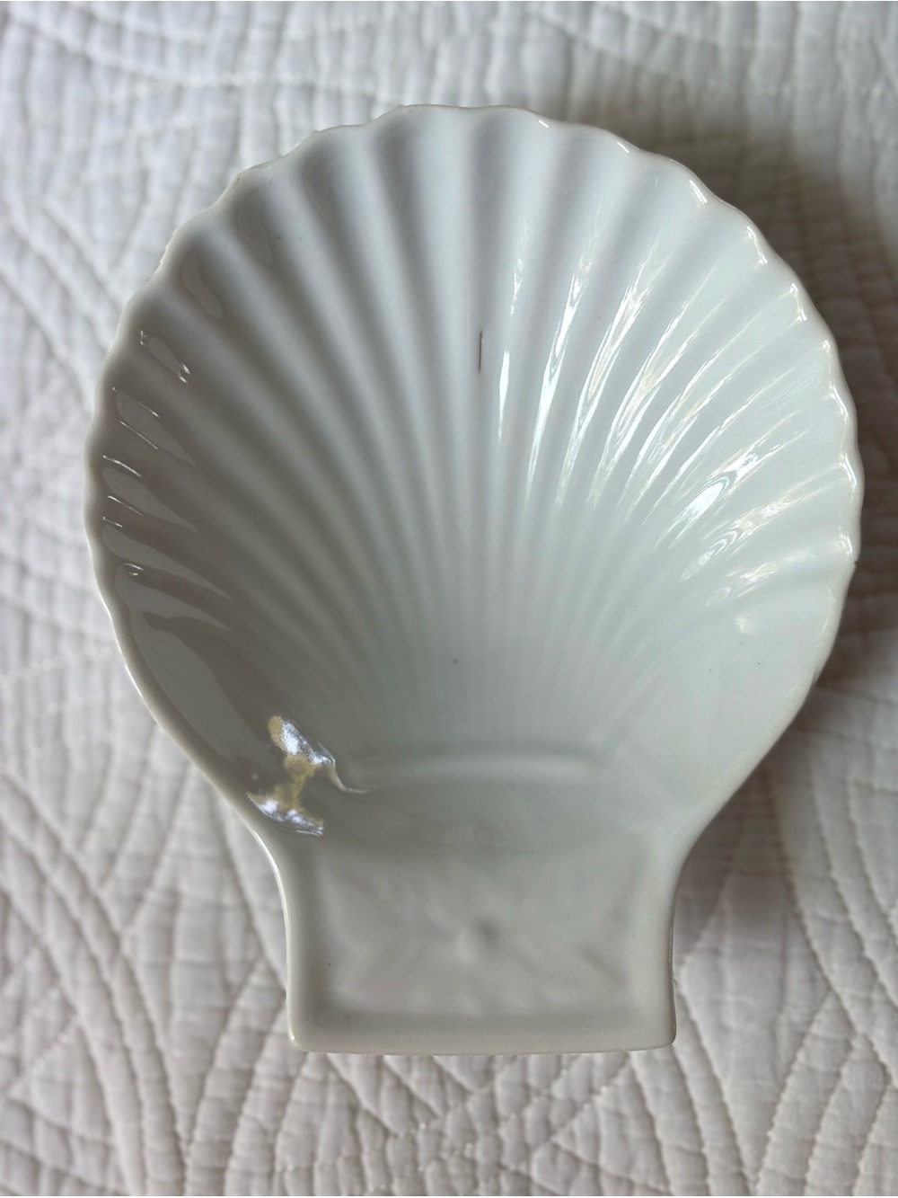 Scallop Shell China Plates - Set of 4 - Picture 8 of 10